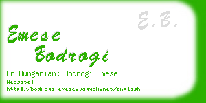 emese bodrogi business card